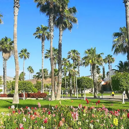 Fresh In Americas, Pe210 Next To The Appartement Arona (Tenerife)