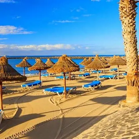 Fresh In Americas, Pe210 Next To The Appartement Arona (Tenerife)